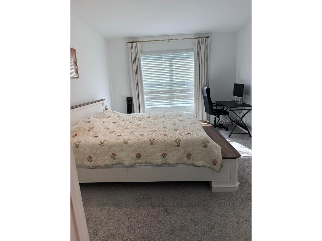 6009 Wandering Willow Dr Wesley Chapel FL 33545 O6363946 image9