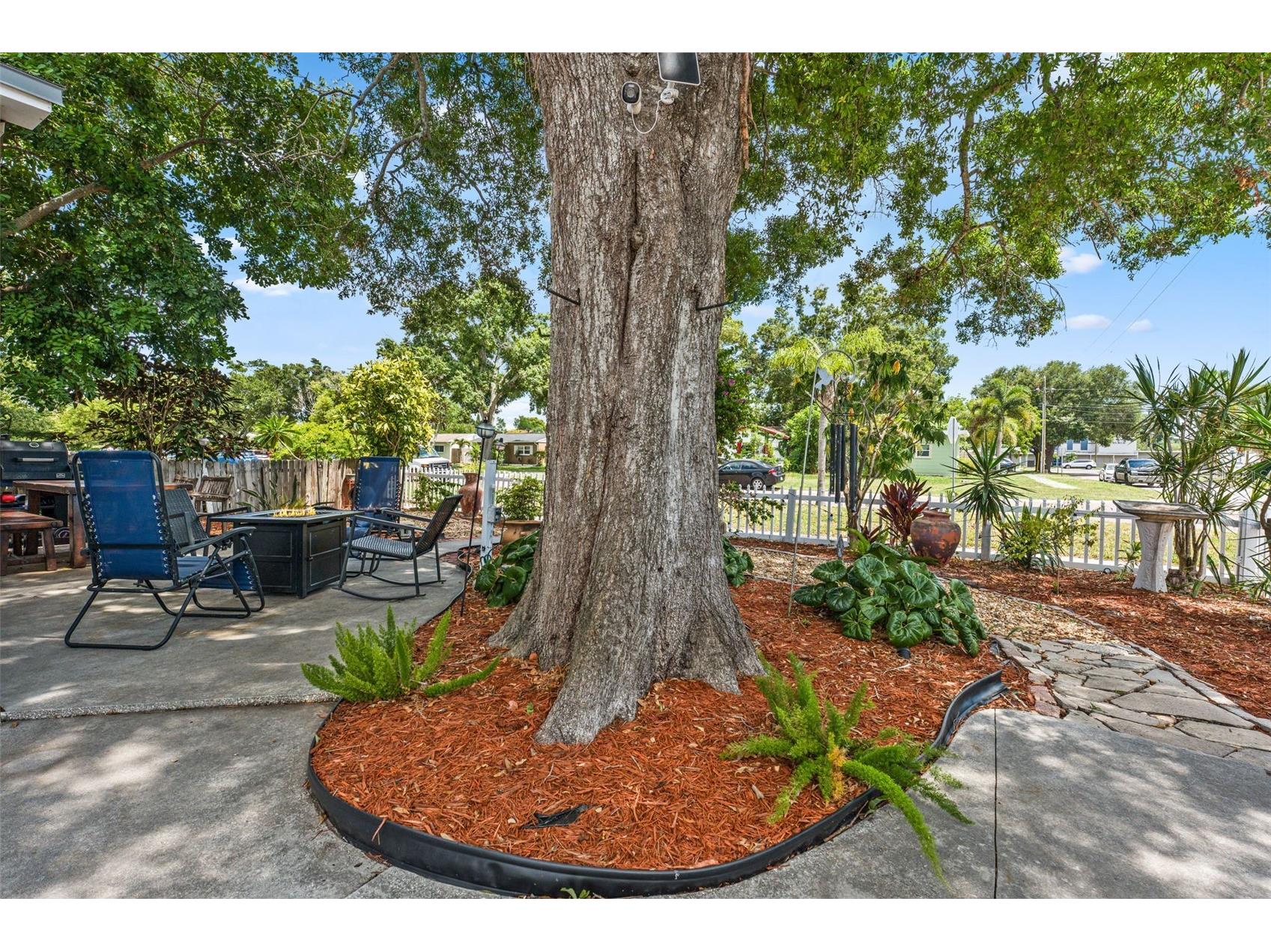 601 45th Street N Saint Petersburg FL 33713 TB8526357 image42