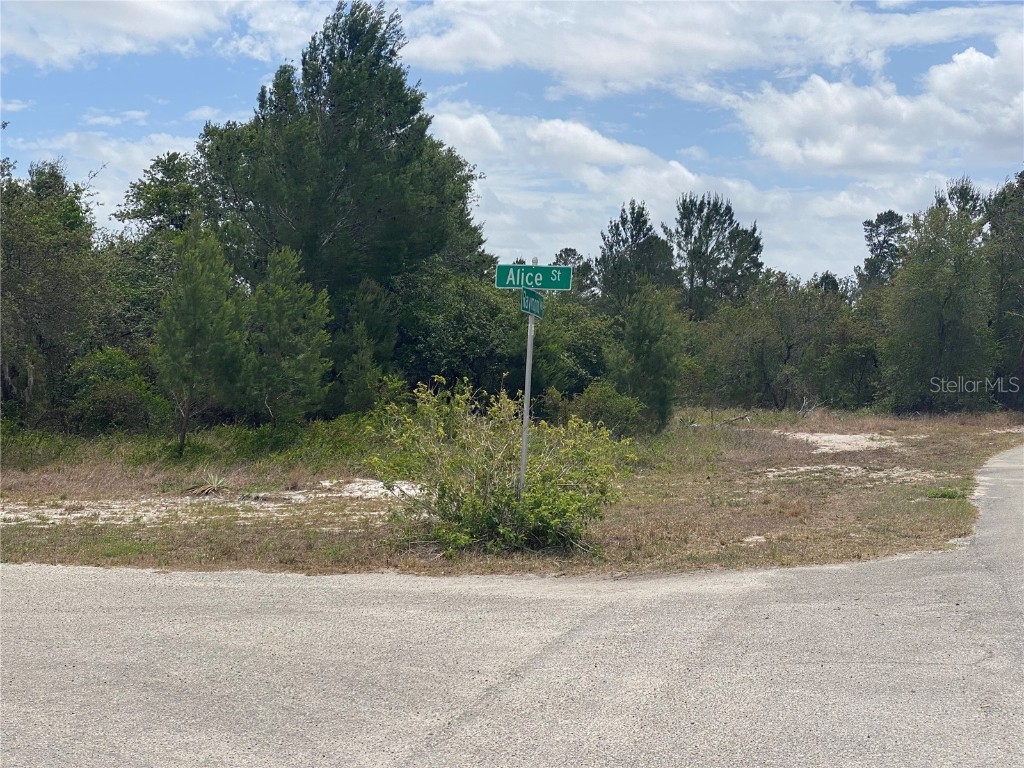 601 Alice Street Frostproof FL 33843 K4902123 image1