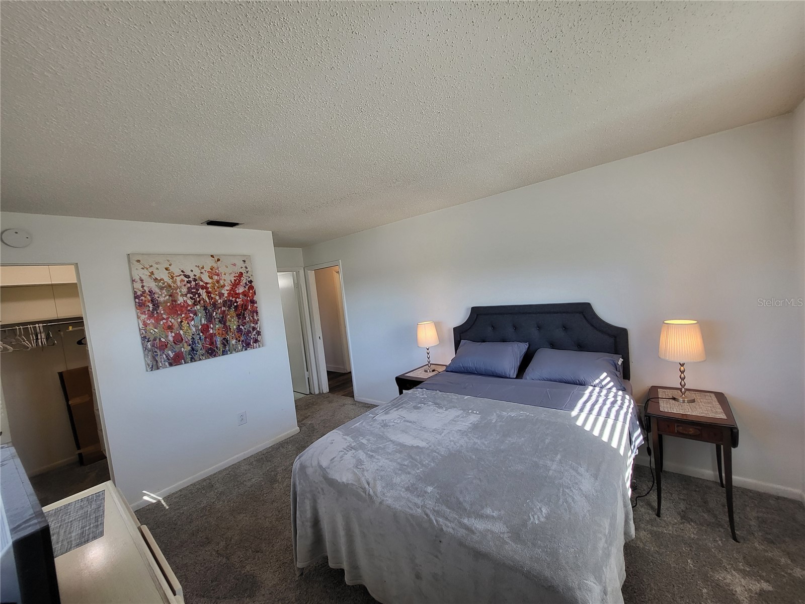 601 Allegheny Drive Sun City Center FL 33573 TB8478320 image20