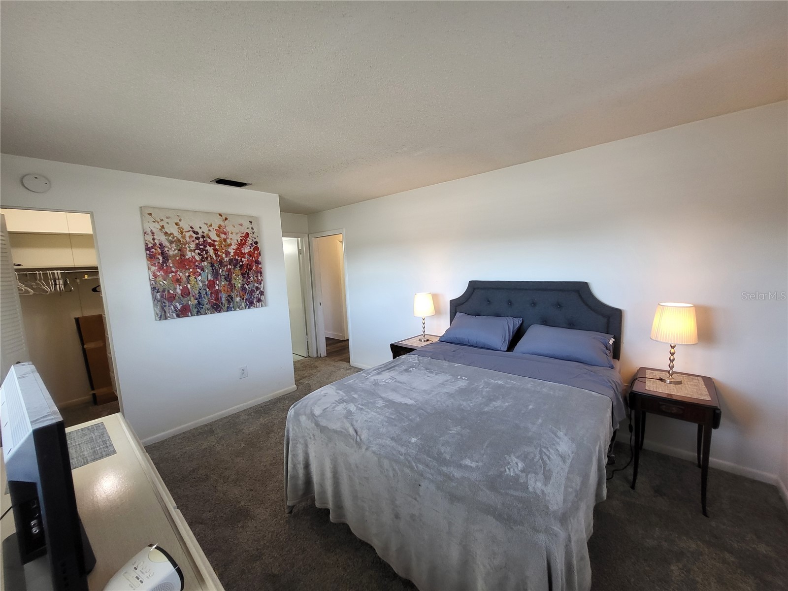 601 Allegheny Drive Sun City Center FL 33573 TB8478320 image24