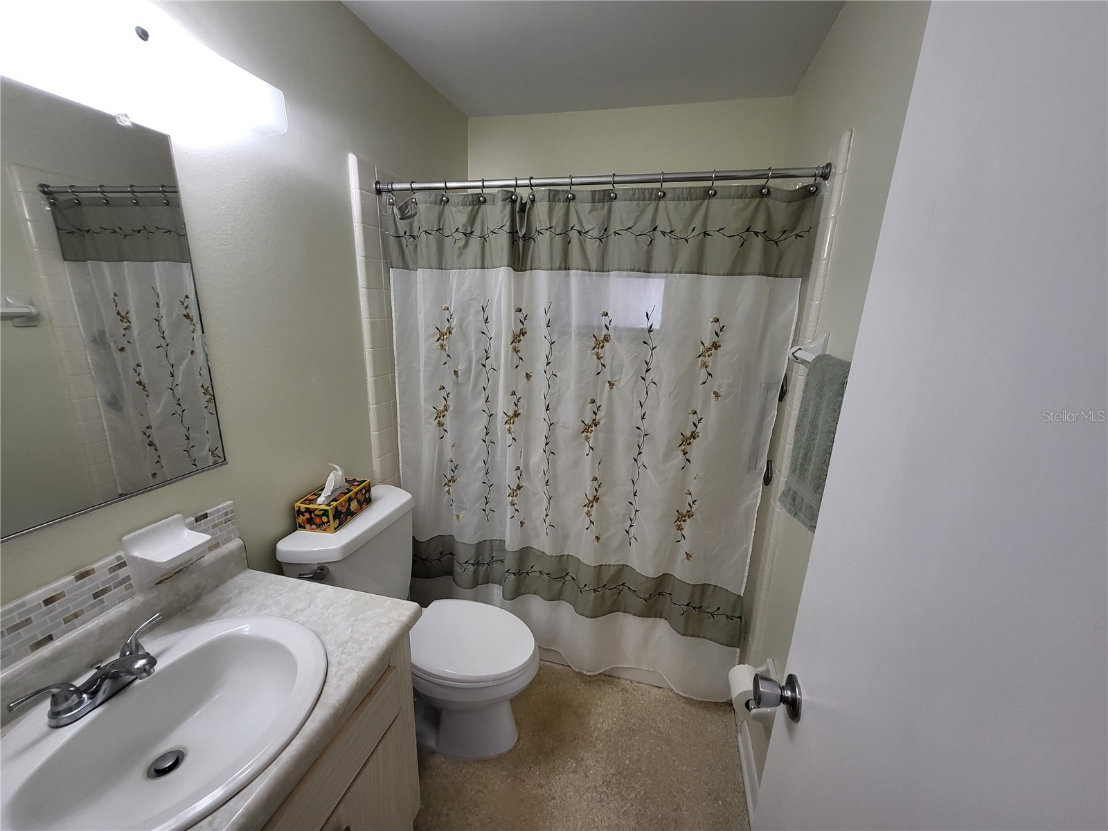 601 Allegheny Drive Sun City Center FL 33573 TB8478320 image30