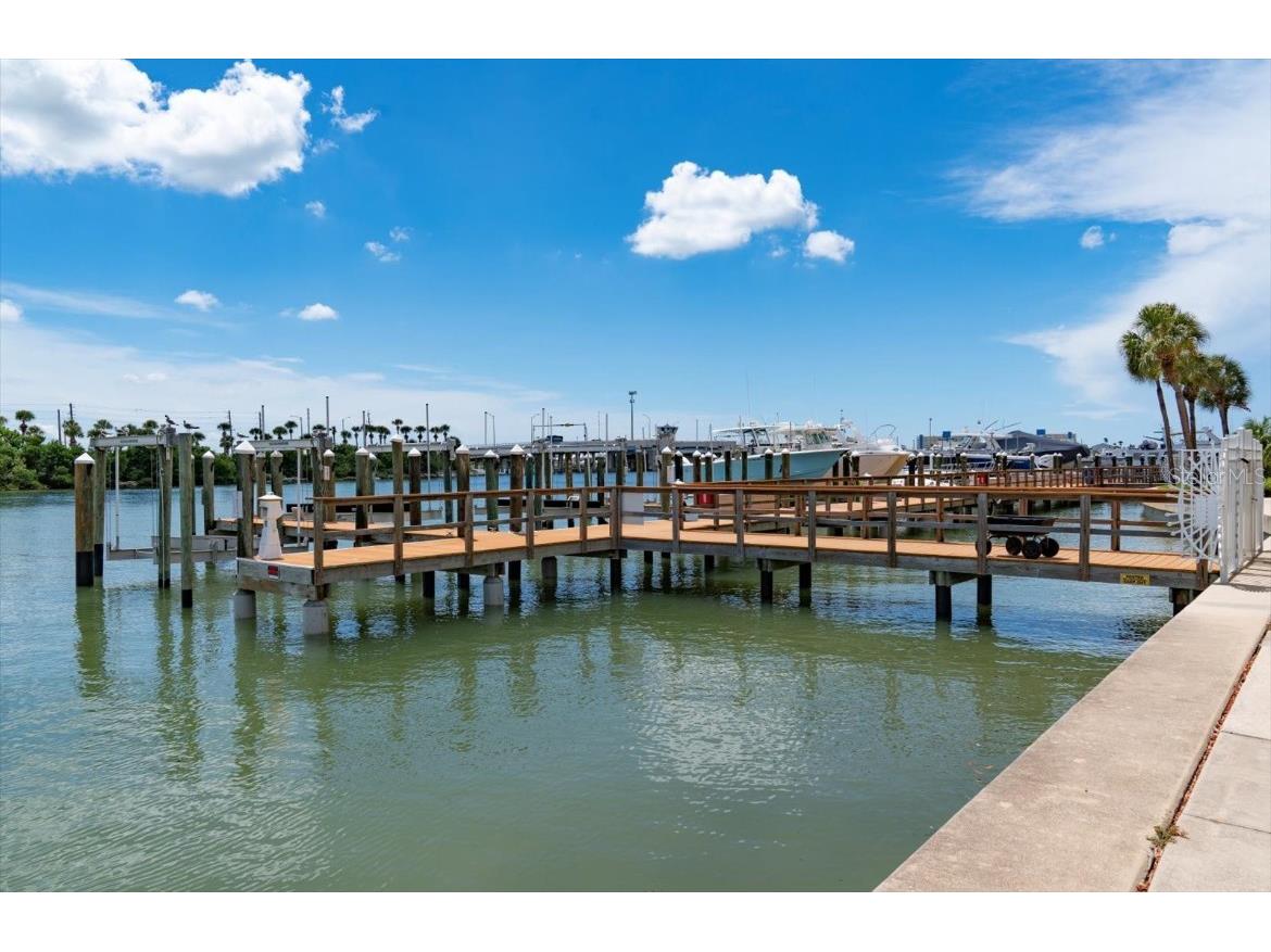 601 American Legion Drive #18 Madeira Beach FL 33708 TB8427409 image19