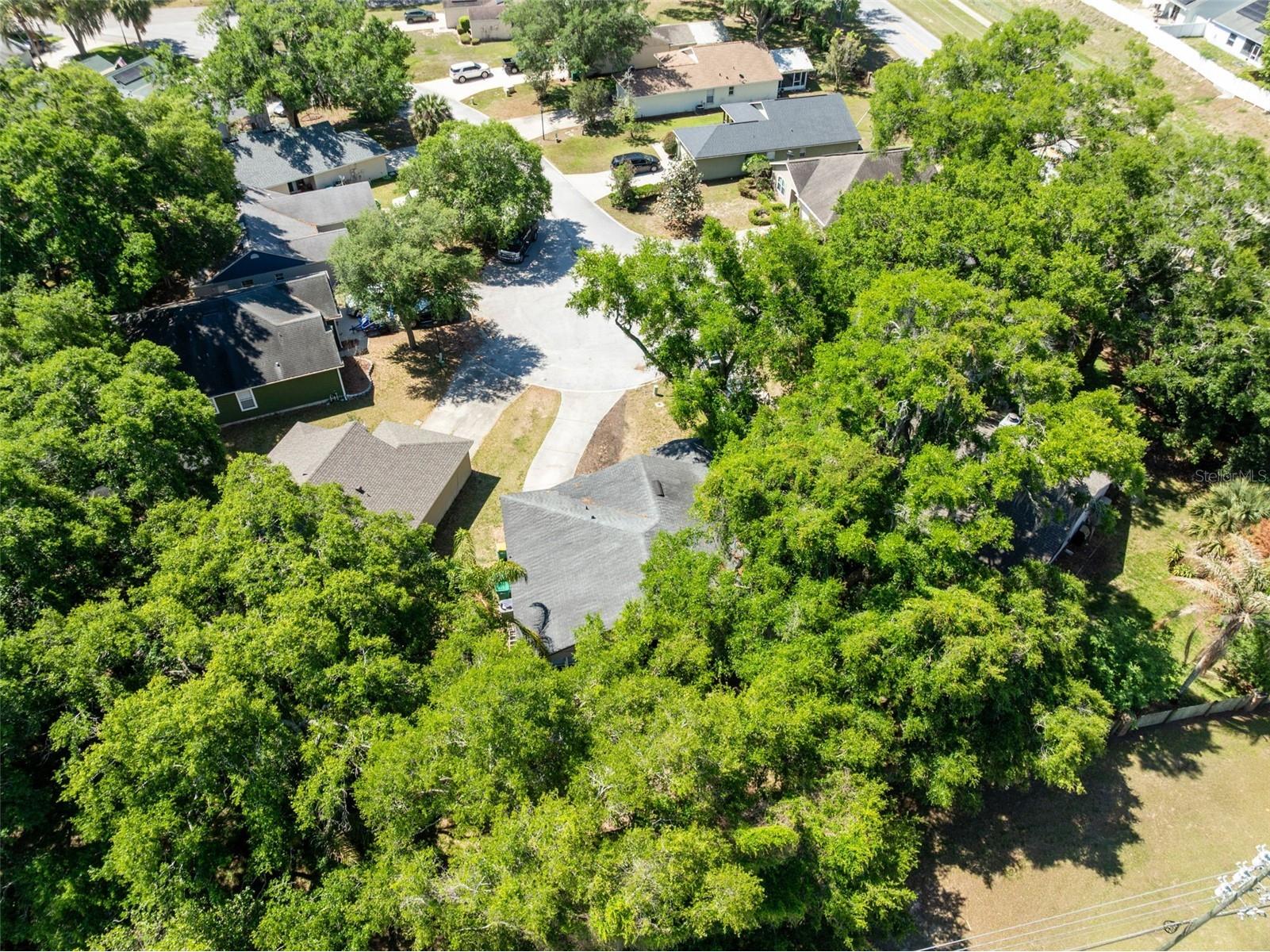 601 Arlington Court Eustis FL 32726 O6398039 image22