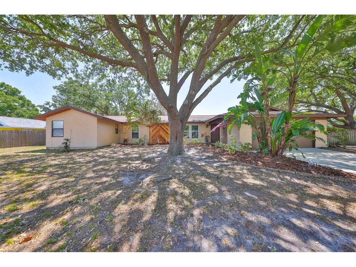 601 Cedar Grove Drive Brandon FL 33511 TB8375126 image1