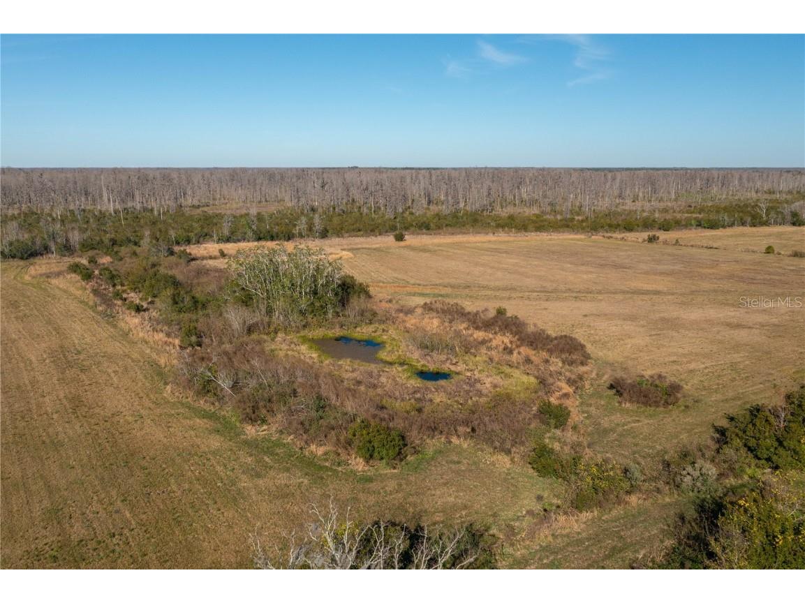 601 Diamond Acres Road Davenport FL 33837 P4935327 image5