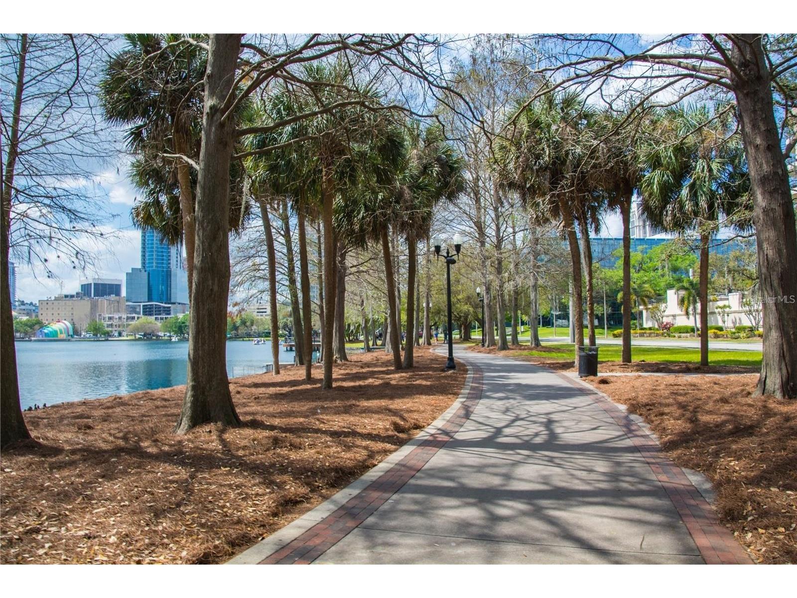 601 E Ridgewood Street Orlando FL 32803 O6370285 image91
