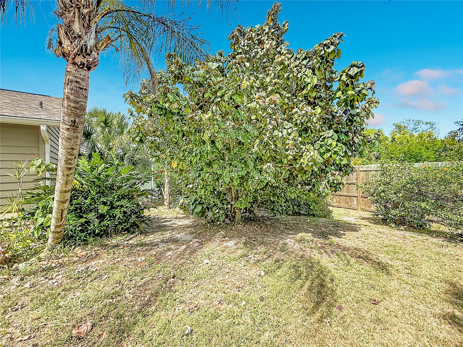 601 E Seminole Drive Venice FL 34293 S5147610 image46