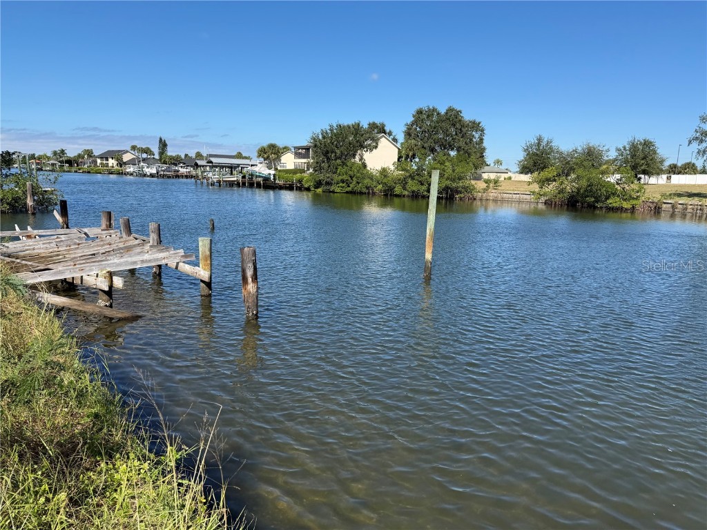 601 Flamingo Drive Apollo Beach FL 33572 TB8442641 image2