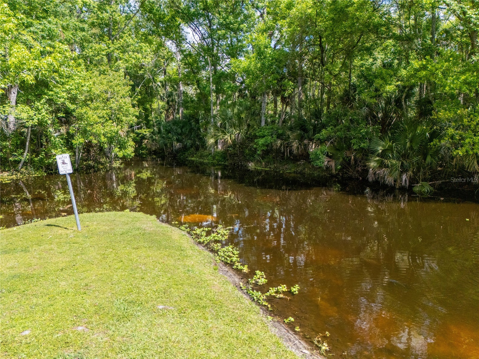 601 Fox Valley Drive Longwood FL 32779 O6394368 image37