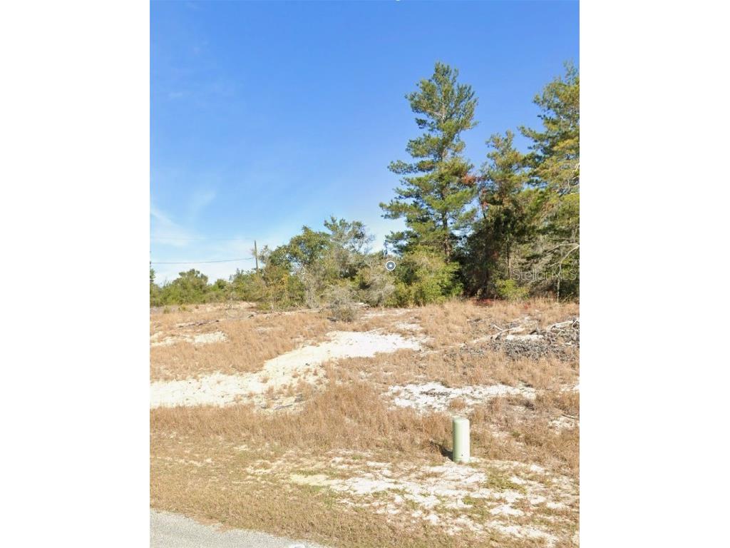 601 Homosassa Way Kissimmee FL 34759 O6333769 image1