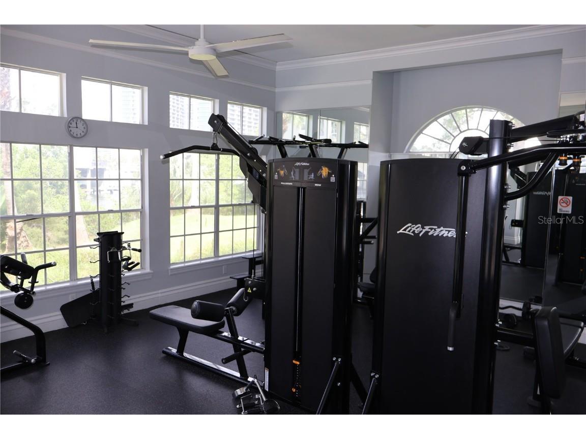 601 Island Place Way Tampa FL 33602 TB8434840 image22