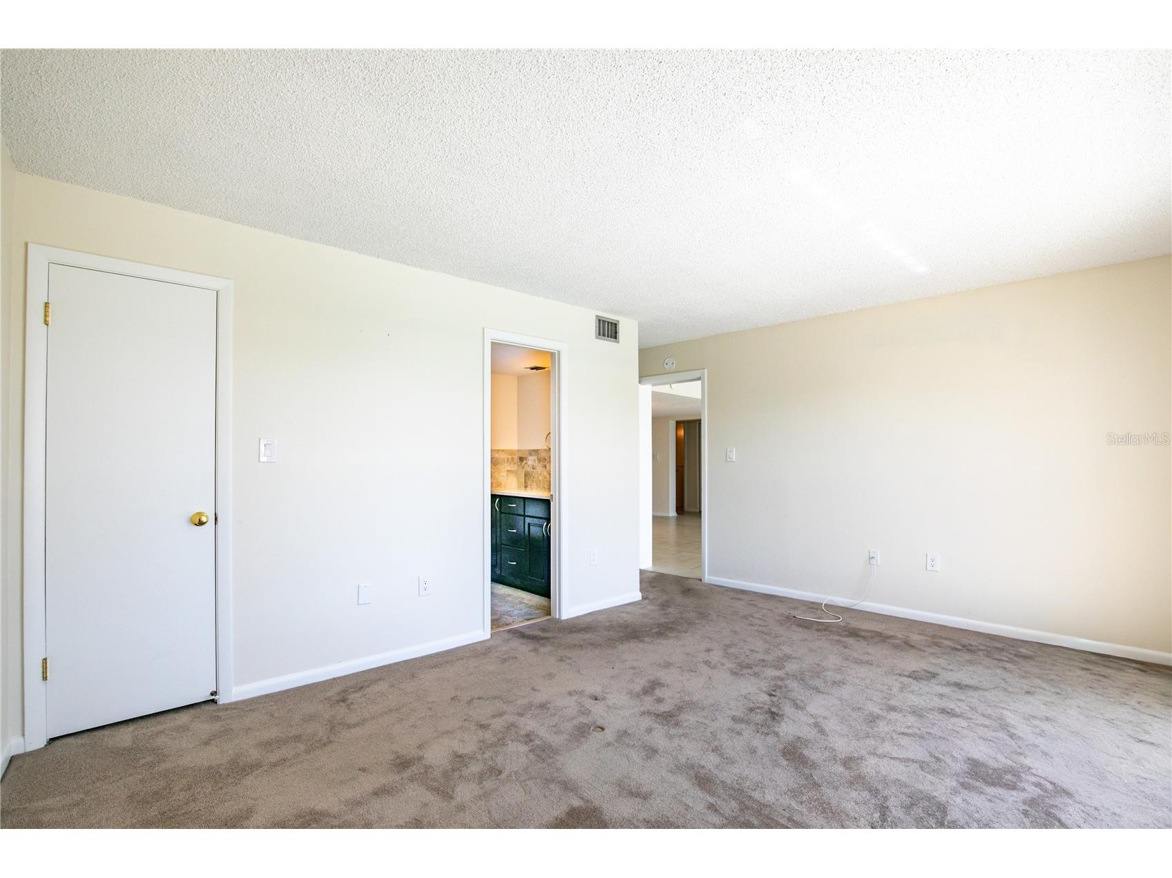 601 Mcdonald Street #105 Mount Dora FL 32757 - LAKE DORA O6398818 image17