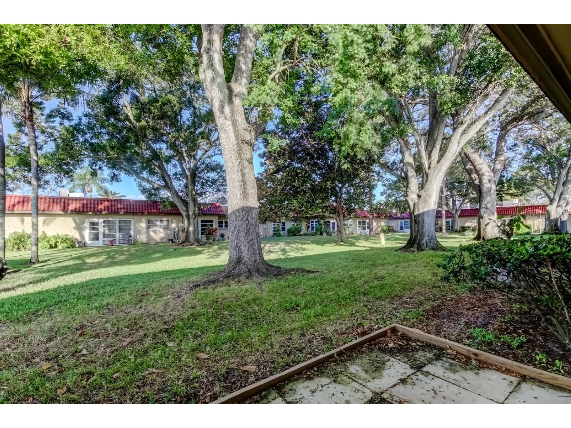 601 N Hercules Avenue #1201 Clearwater FL 33765 TB8443223 image38