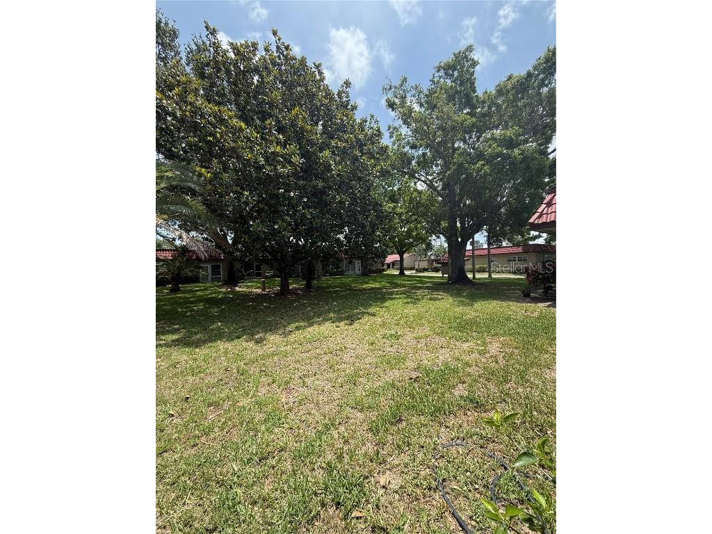 601 N Hercules Avenue #1403 Clearwater FL 33765 A4673307 image15