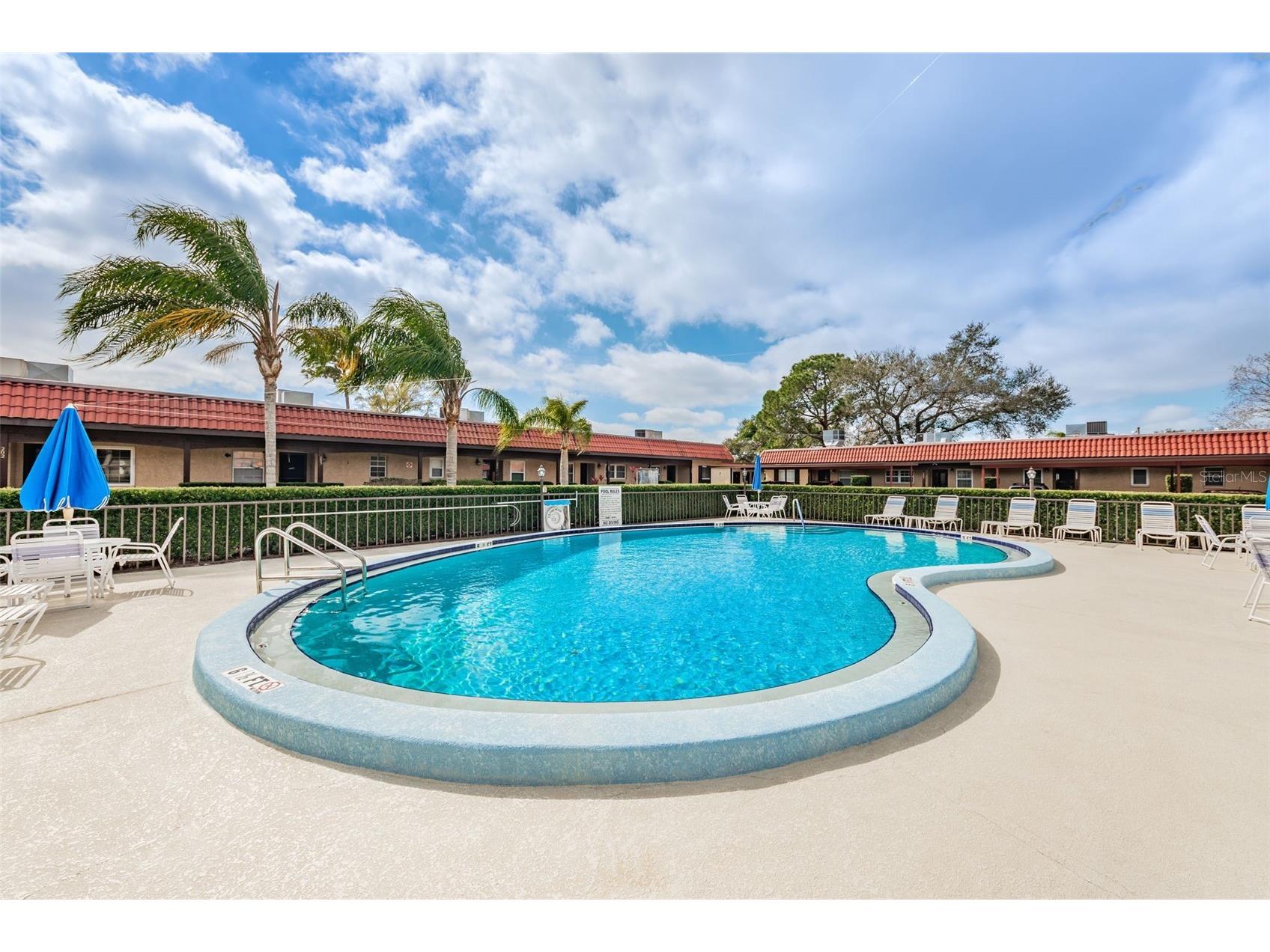 601 N Hercules Avenue #508 Clearwater FL 33765 TB8474321 image38