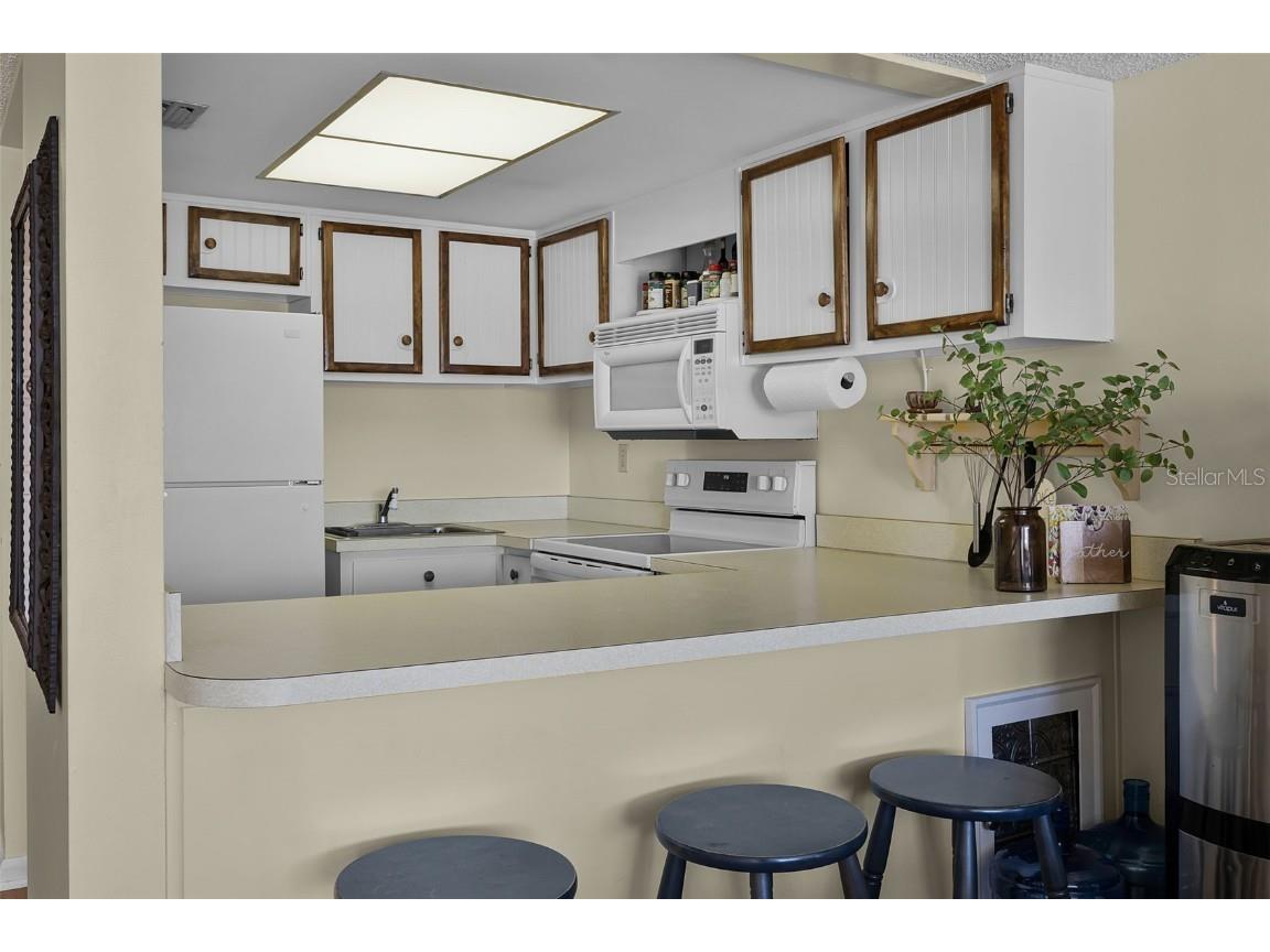 601 N Mcdonald Street #2 Mount Dora FL 32757 - LAKE DORA G5098987 image7