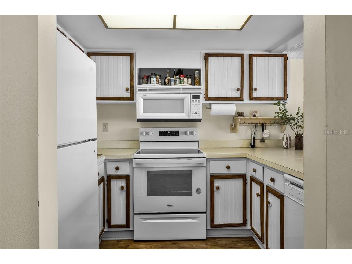 601 N Mcdonald Street #2 Mount Dora FL 32757 - LAKE DORA G5098987 image8