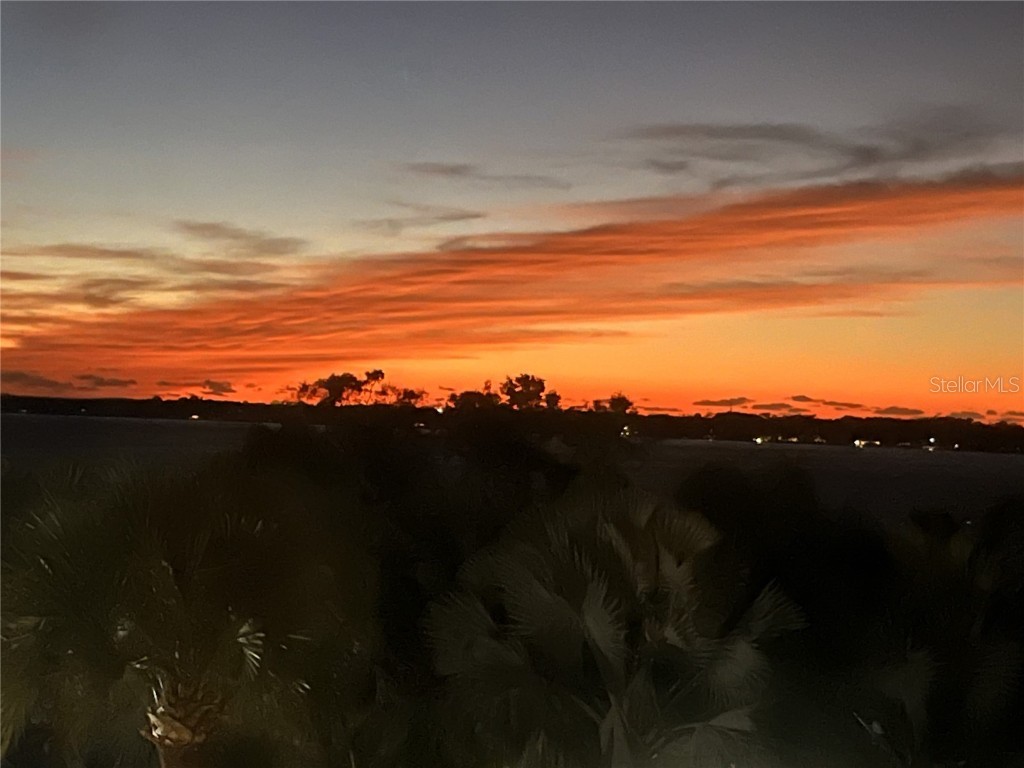 601 N Mcdonald Street #206 Mount Dora FL 32757 P4937254 image49