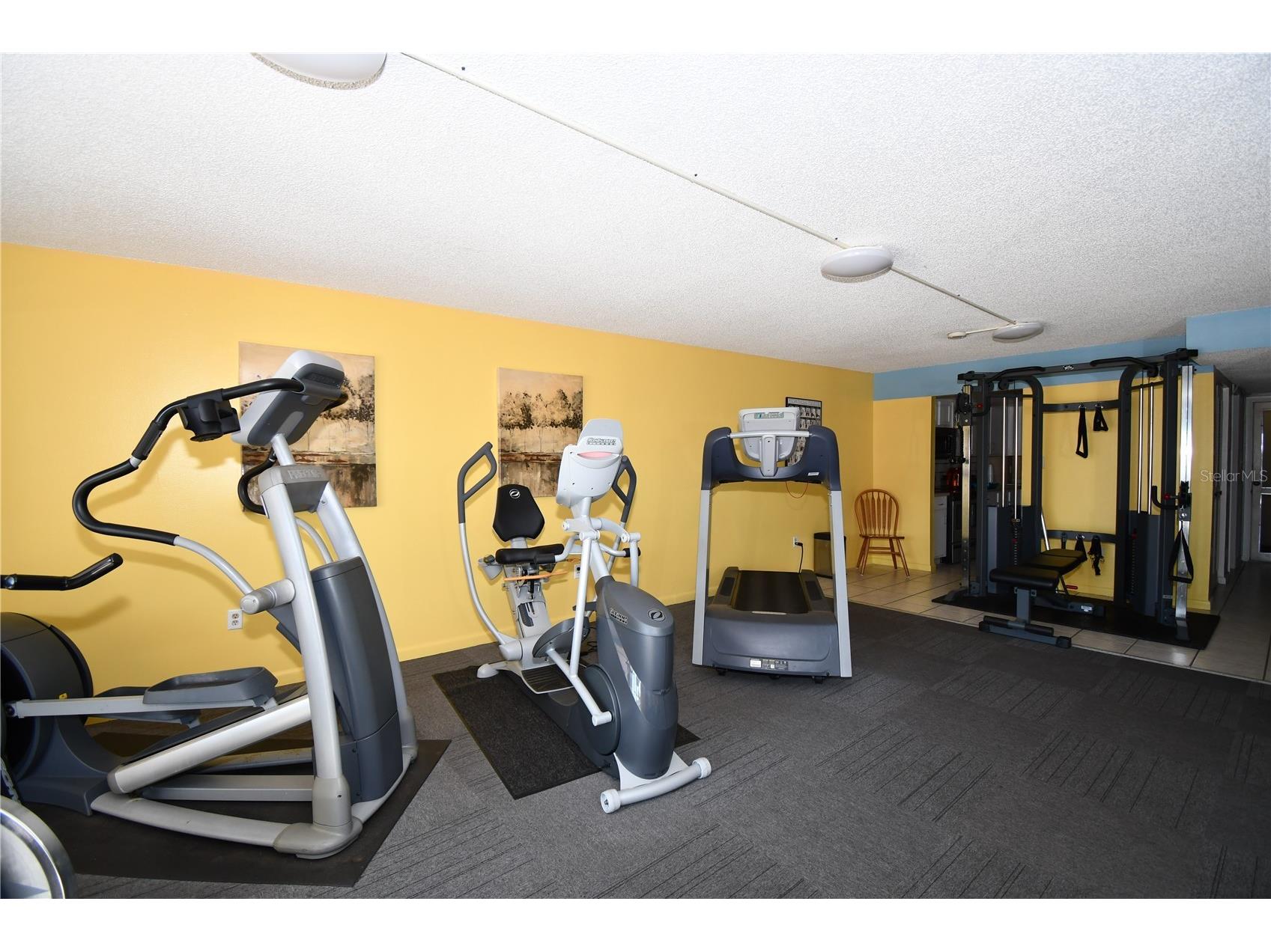 601 N Mcdonald Street #206 Mount Dora FL 32757 P4937254 image51