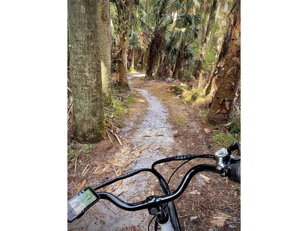 601 N Mcdonald Street #208 Mount Dora FL 32757 O6363084 image19