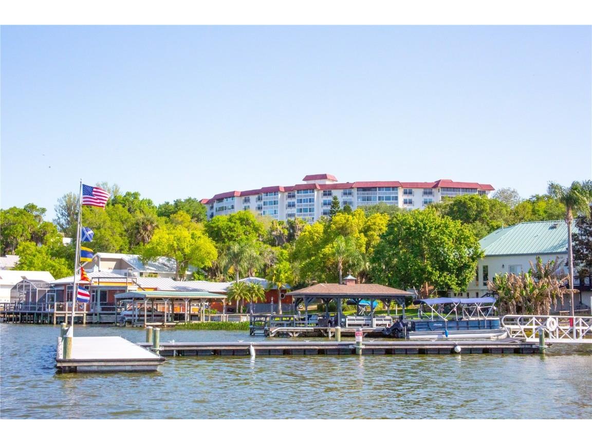 601 N Mcdonald Street #404 Mount Dora FL 32757 - LAKE DORA G5069207 image1