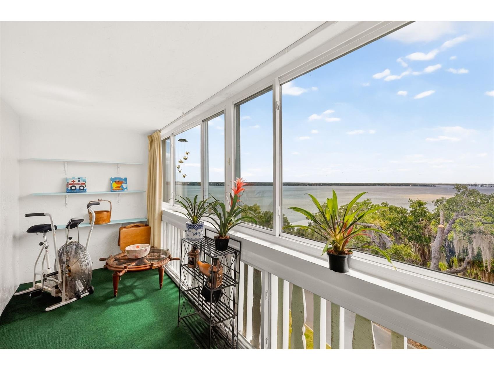601 N Mcdonald Street #508 Mount Dora FL 32757 G5106809 image17