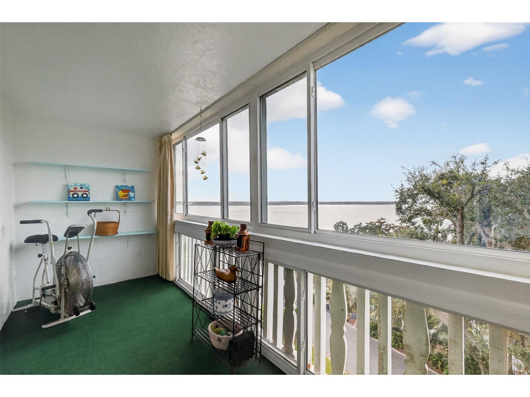 601 N Mcdonald Street #508 Mount Dora FL 32757 G5106809 image22