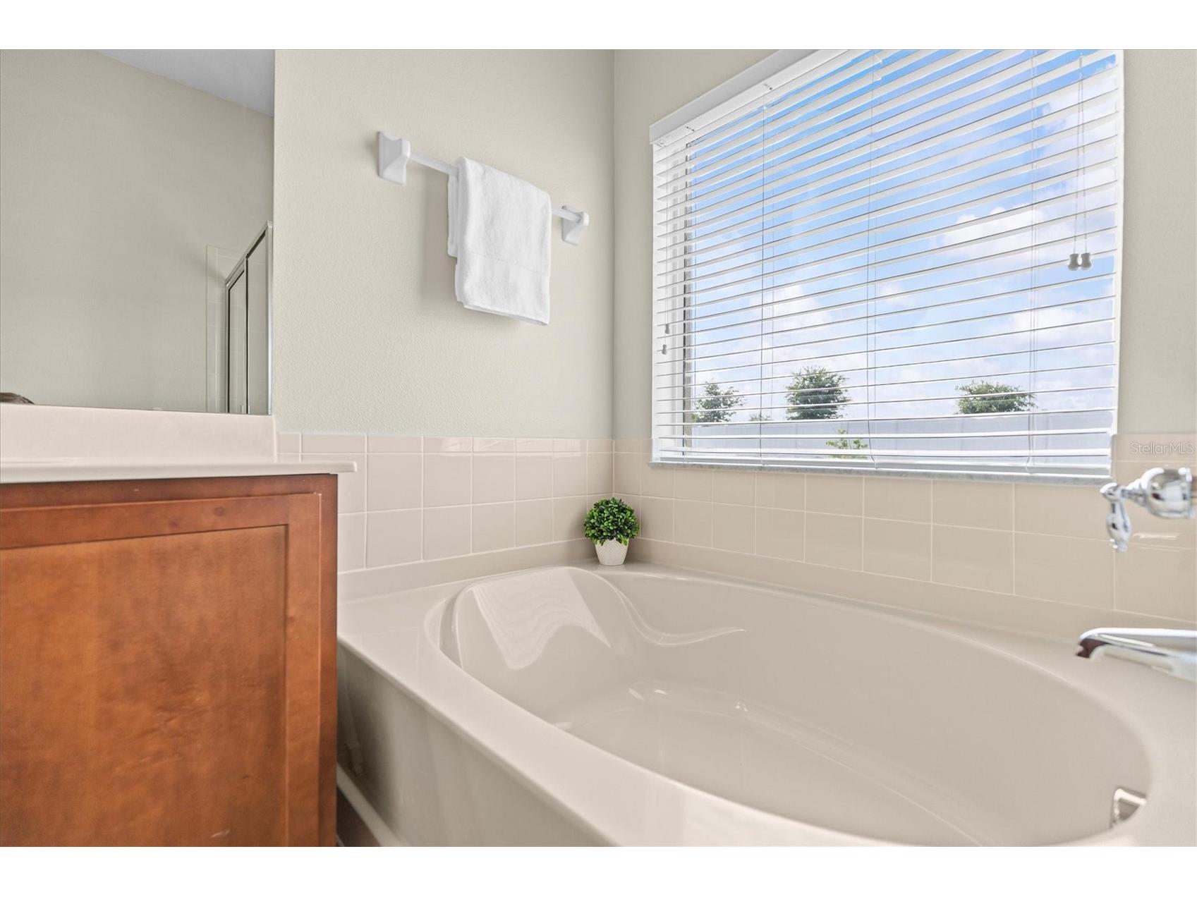 601 Nodding Shade Drive Brooksville FL 34604 TB8494679 image23