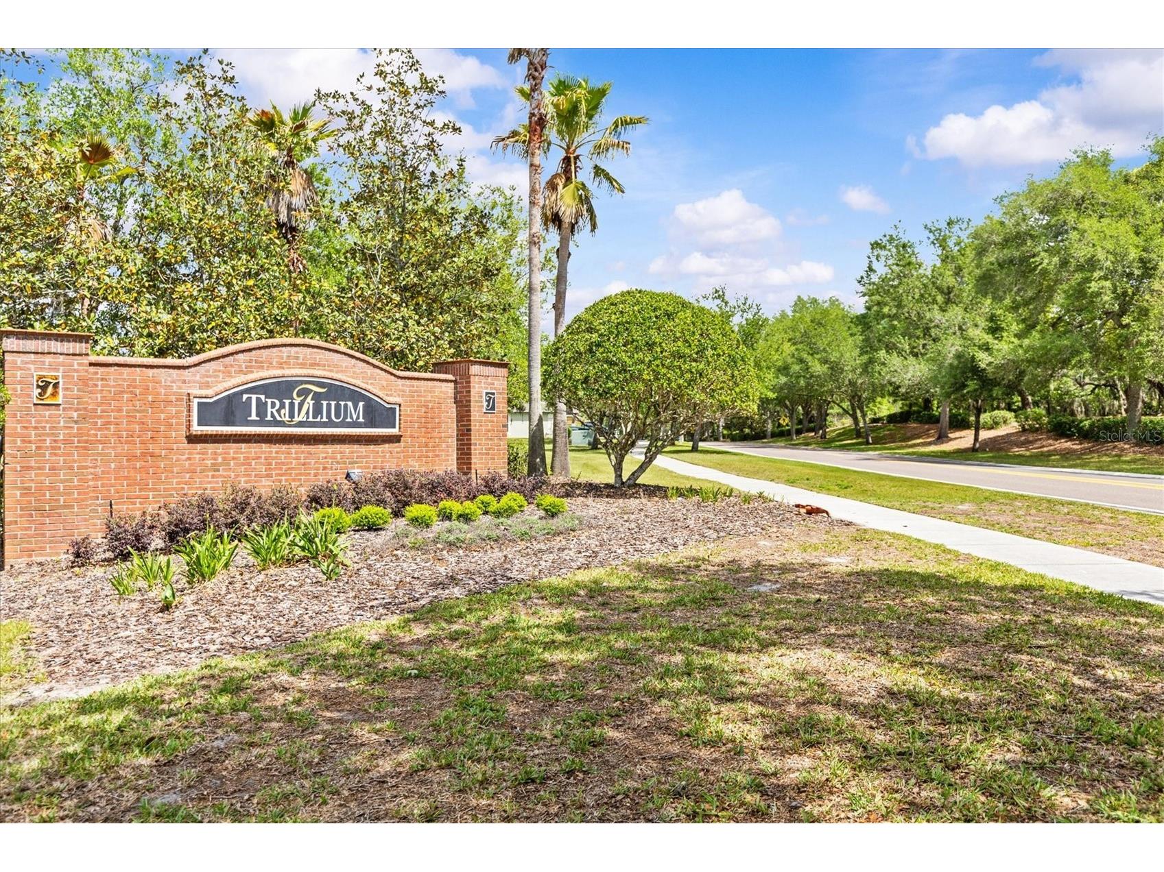 601 Nodding Shade Drive Brooksville FL 34604 TB8494679 image53