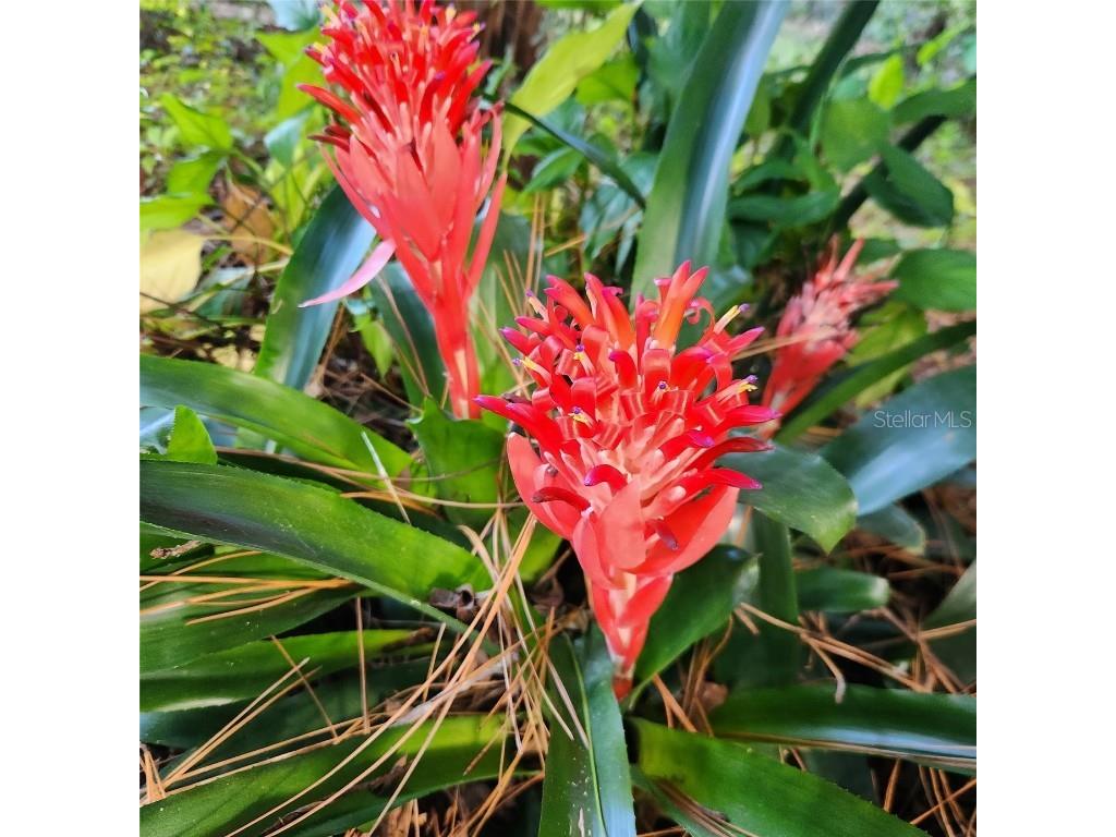 601 NW 36th Drive Gainesville FL 32607 GC532261 image34