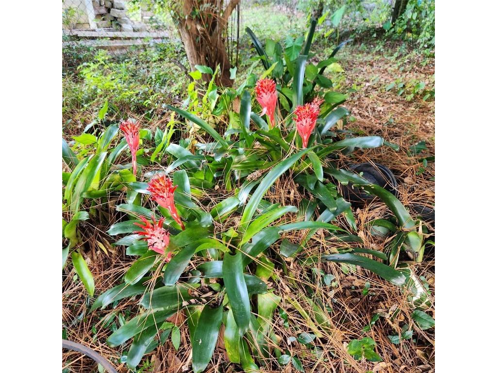 601 NW 36th Drive Gainesville FL 32607 GC532261 image36