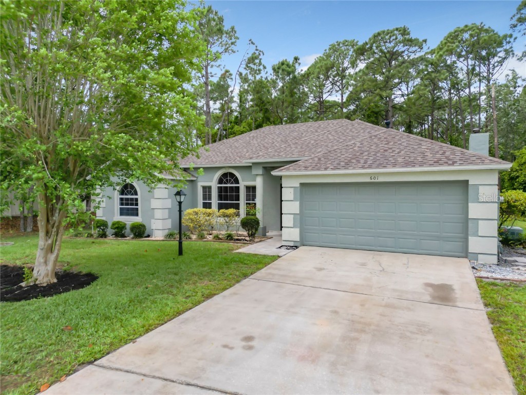 601 Red Mulberry Drive Deltona FL 32725 V4929507 image1