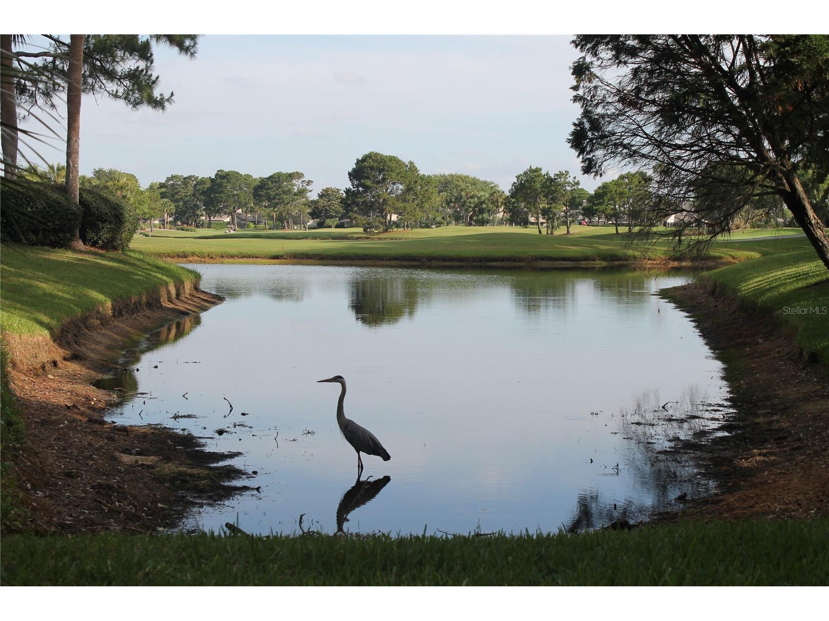 601 Rotonda Circle Rotonda West FL 33947 - ROTONDA WATERWAY D6145384 image74