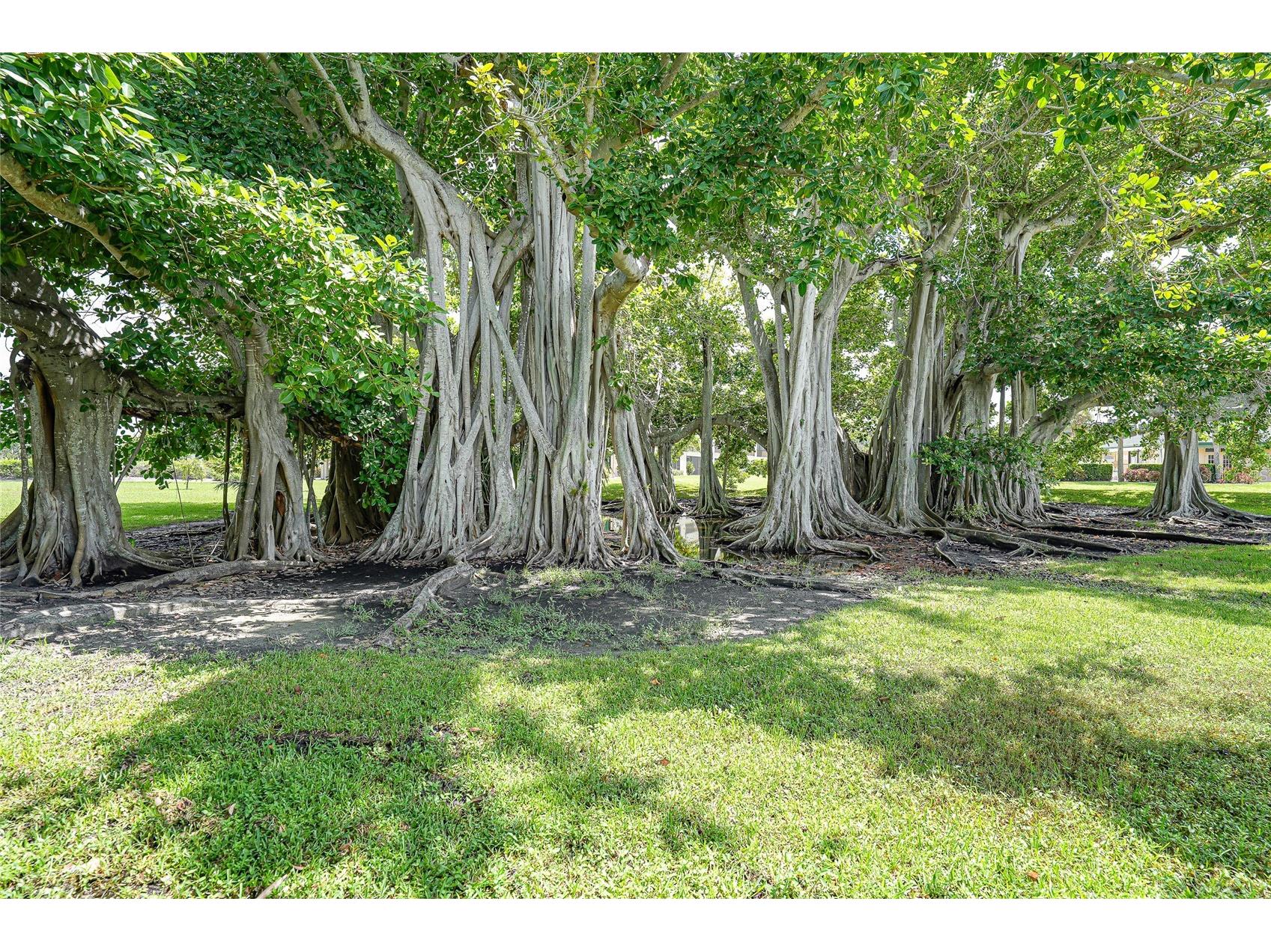 601 Shreve Street #51A Punta Gorda FL 33950 D6147611 image35