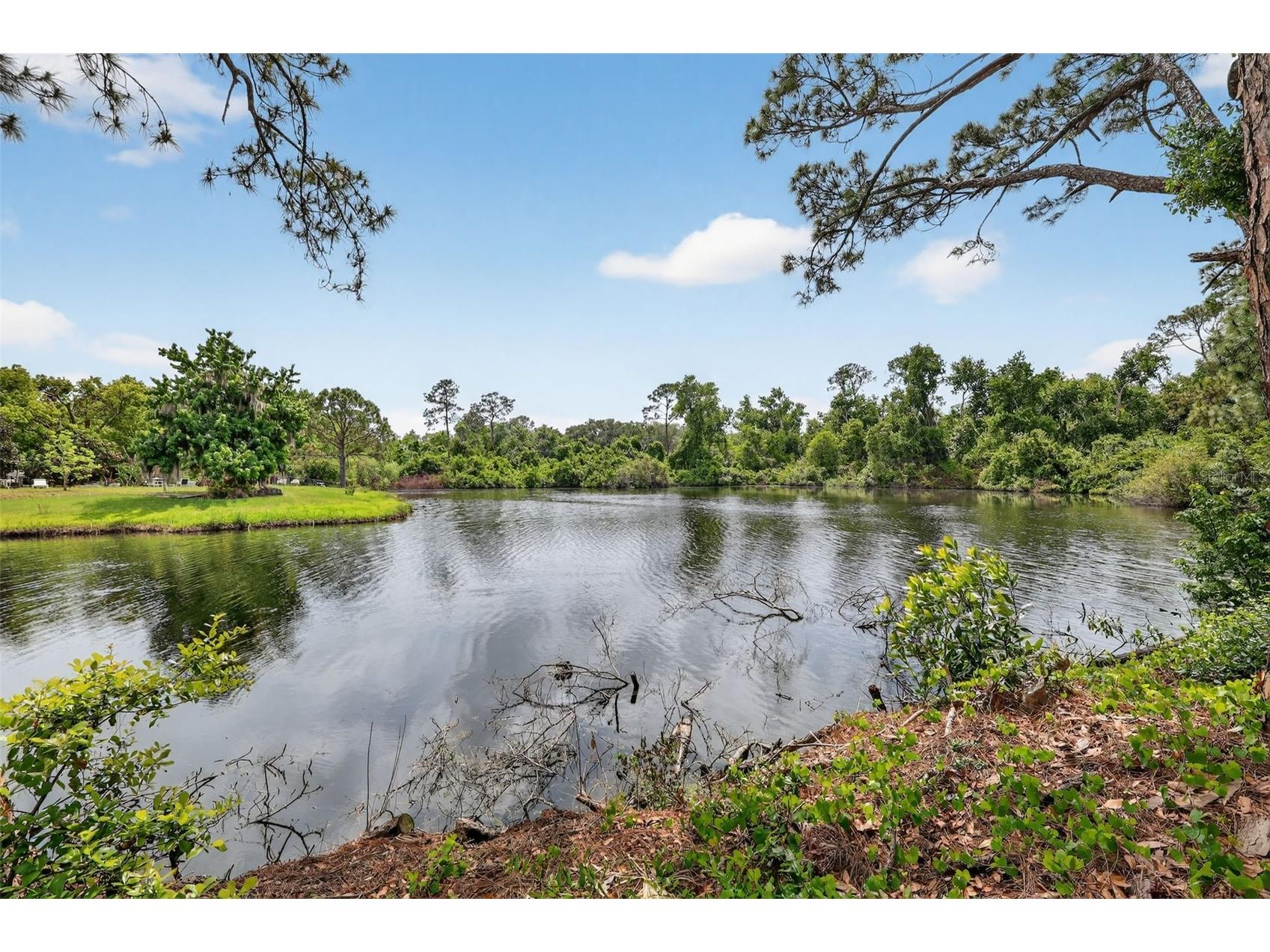 601 Vincent Drive Mount Dora FL 32757 G5110738 image32