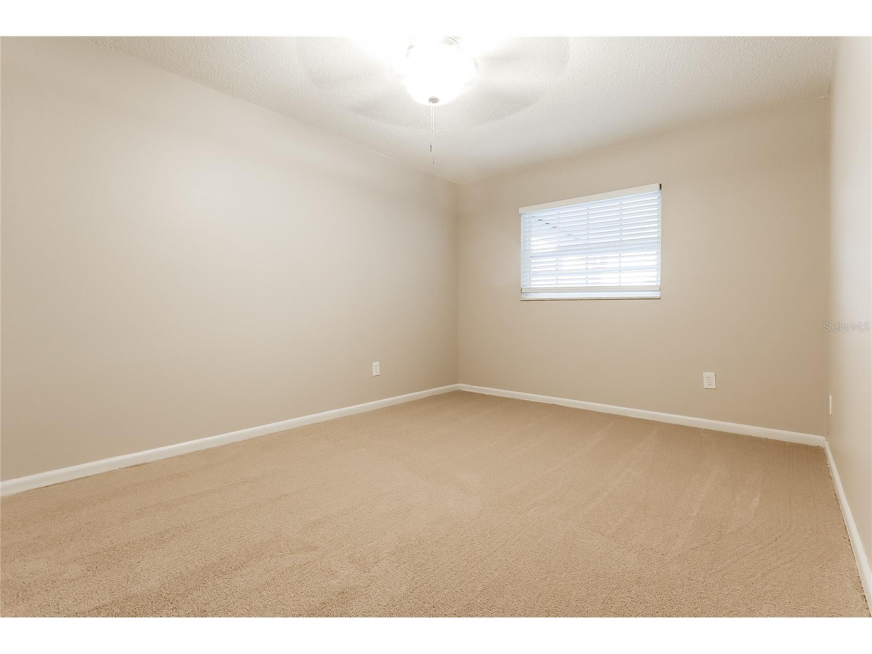 601 Wood Road Seffner FL 33584 C7521594 image12