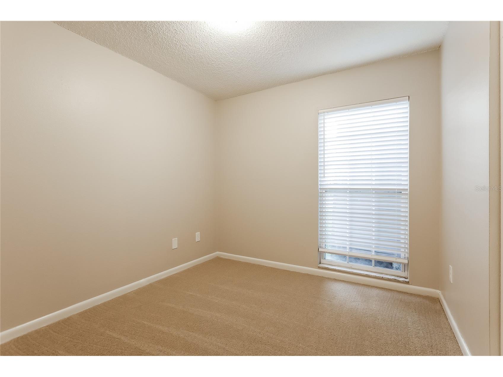 601 Wood Road Seffner FL 33584 C7521594 image8