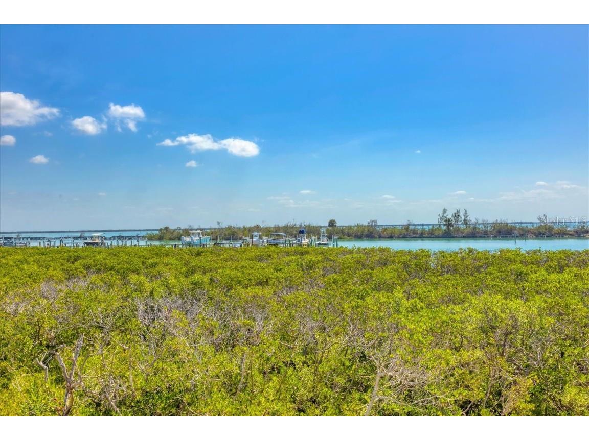 6010 Boca Grande Causeway #C26 Boca Grande FL 33921 - INTRACOASTAL WATERWAY D6143945 image36