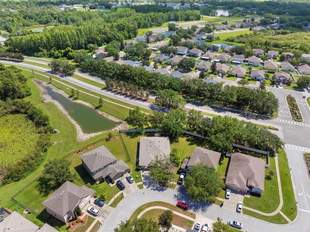 6010 Candytuft Place Land O Lakes FL 34639 TB8411537 image11
