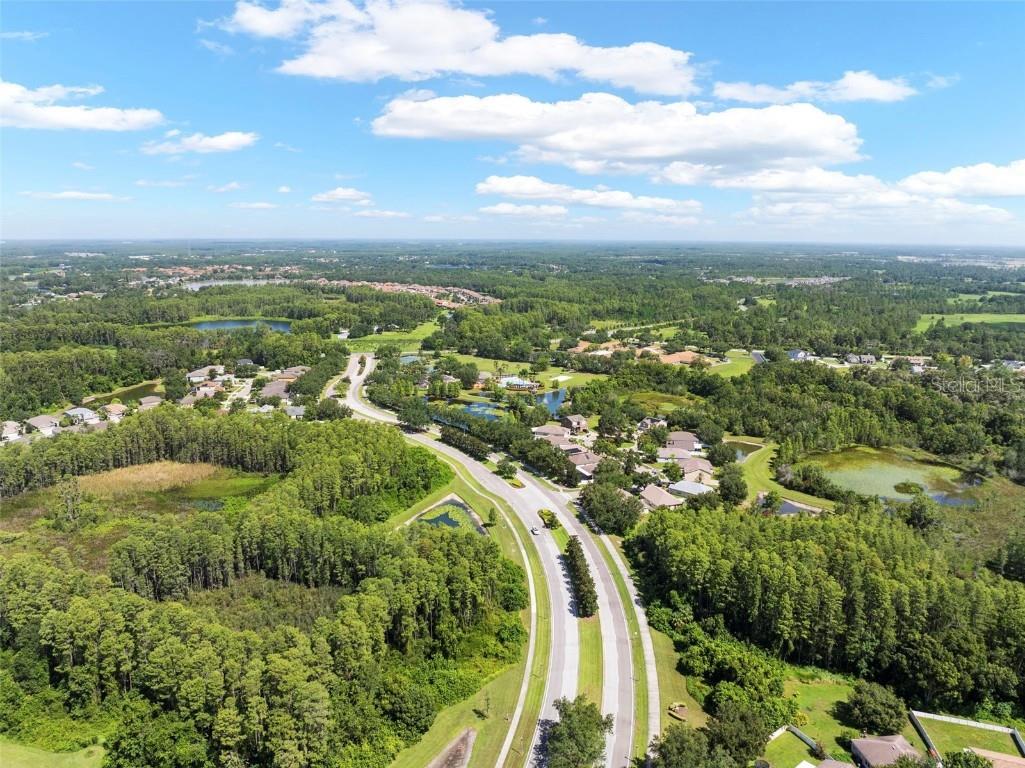 6010 Candytuft Place Land O Lakes FL 34639 TB8411537 image19