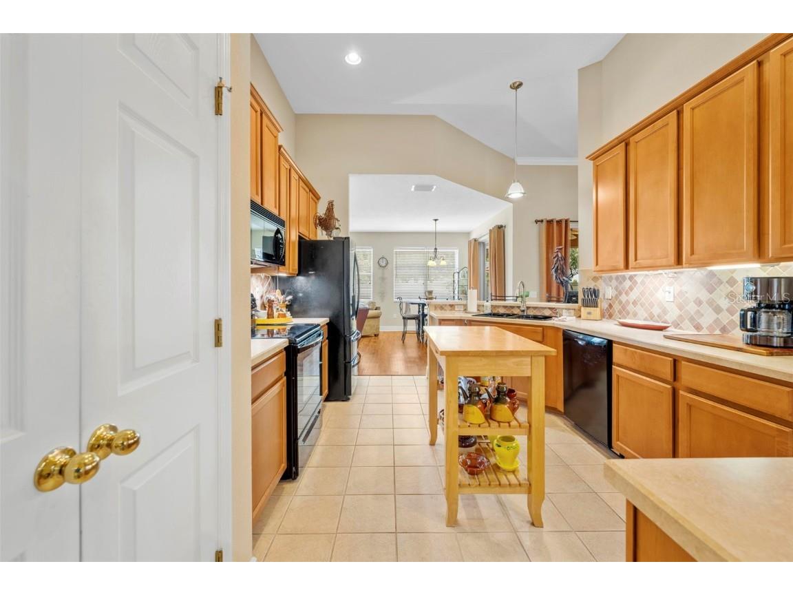 6010 Candytuft Place Land O Lakes FL 34639 TB8411537 image36