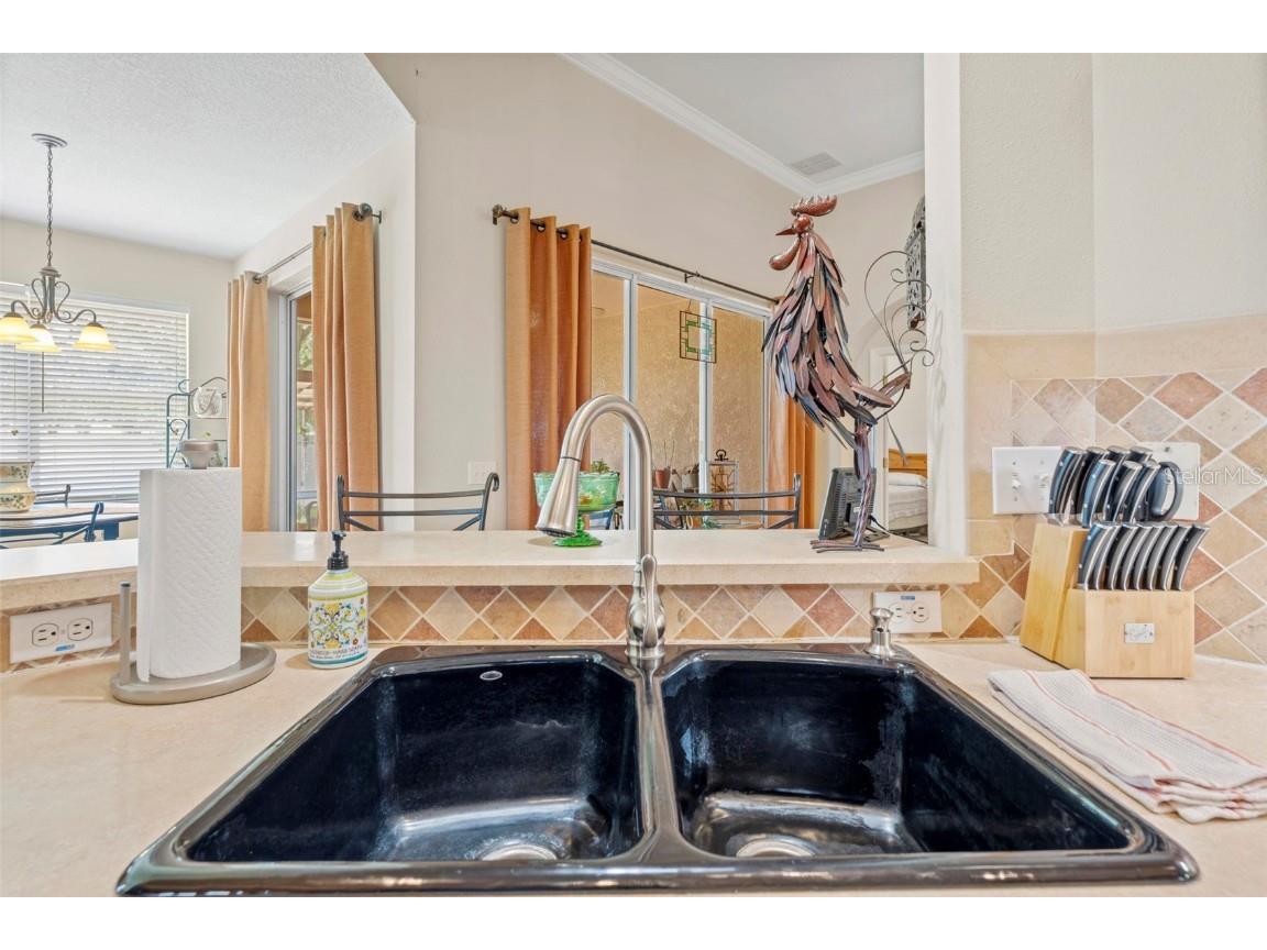 6010 Candytuft Place Land O Lakes FL 34639 TB8411537 image38