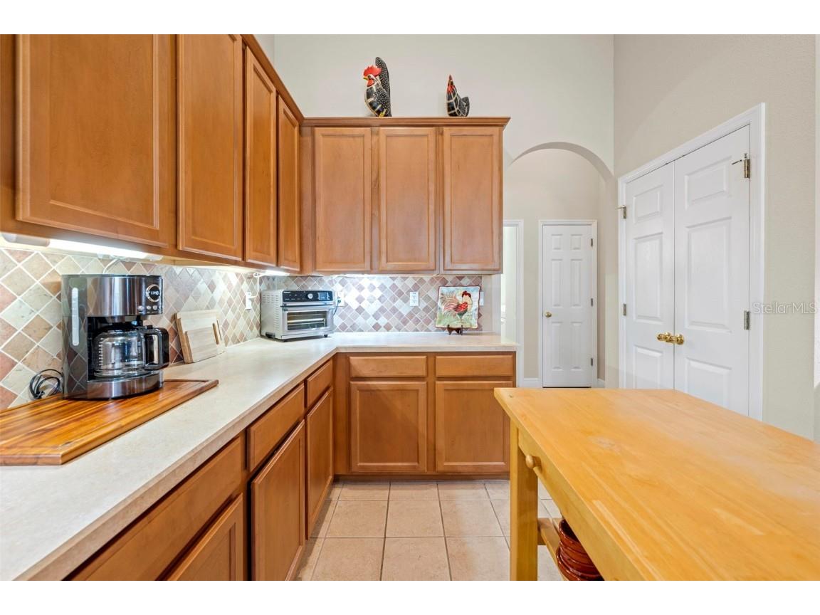 6010 Candytuft Place Land O Lakes FL 34639 TB8411537 image39