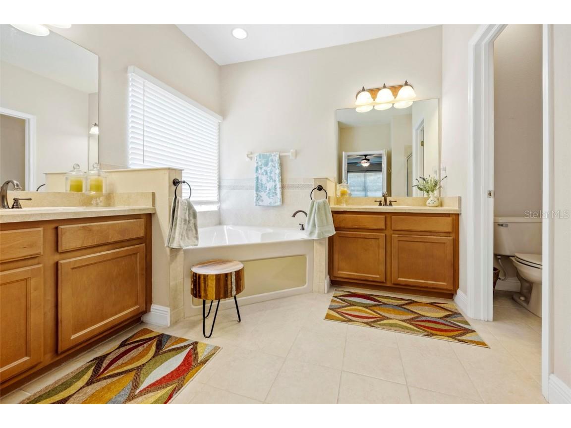 6010 Candytuft Place Land O Lakes FL 34639 TB8411537 image46