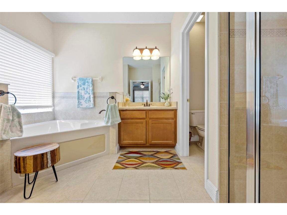 6010 Candytuft Place Land O Lakes FL 34639 TB8411537 image47