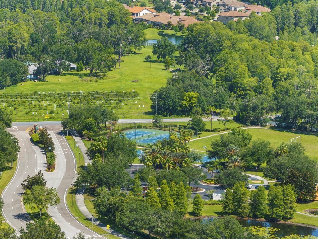 6010 Candytuft Place Land O Lakes FL 34639 TB8411537 image50