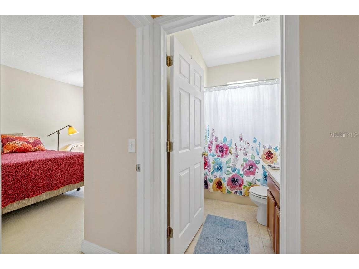 6010 Candytuft Place Land O Lakes FL 34639 TB8411537 image51