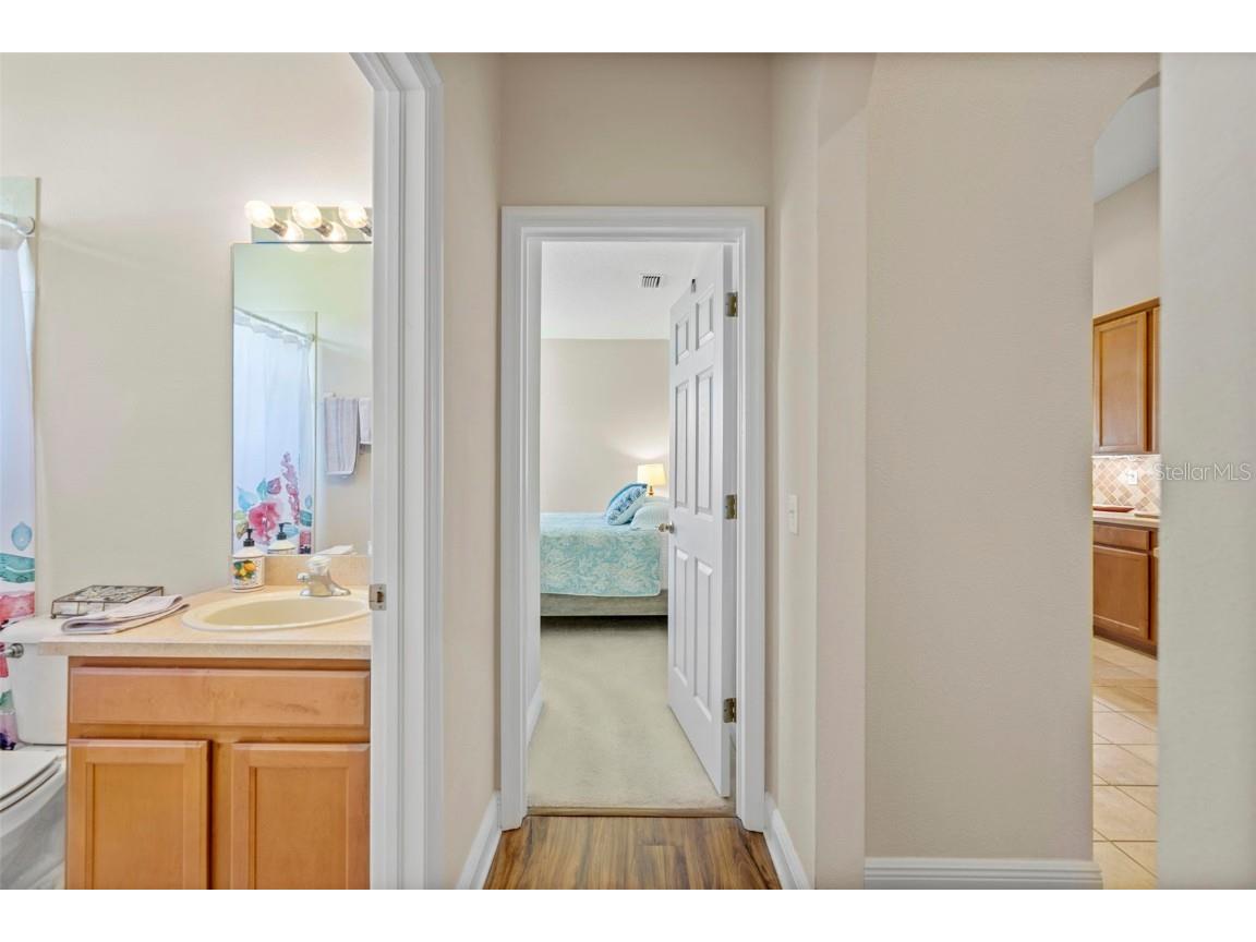 6010 Candytuft Place Land O Lakes FL 34639 TB8411537 image55