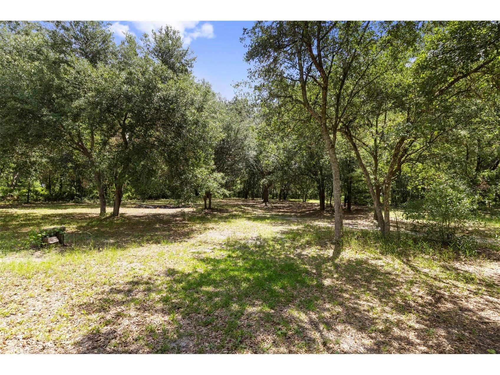 6010 Frontier Drive Zephyrhills FL 33540 TB8516284 image51